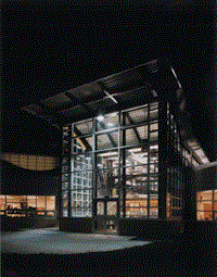 Lynch at Night
